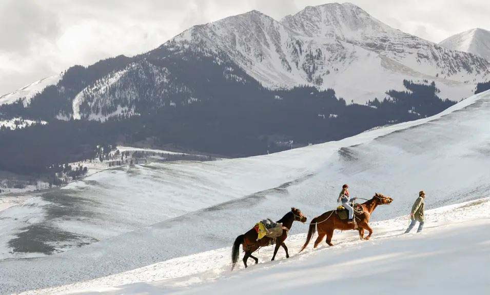 AIRBNBs in the Jackson Hole Area