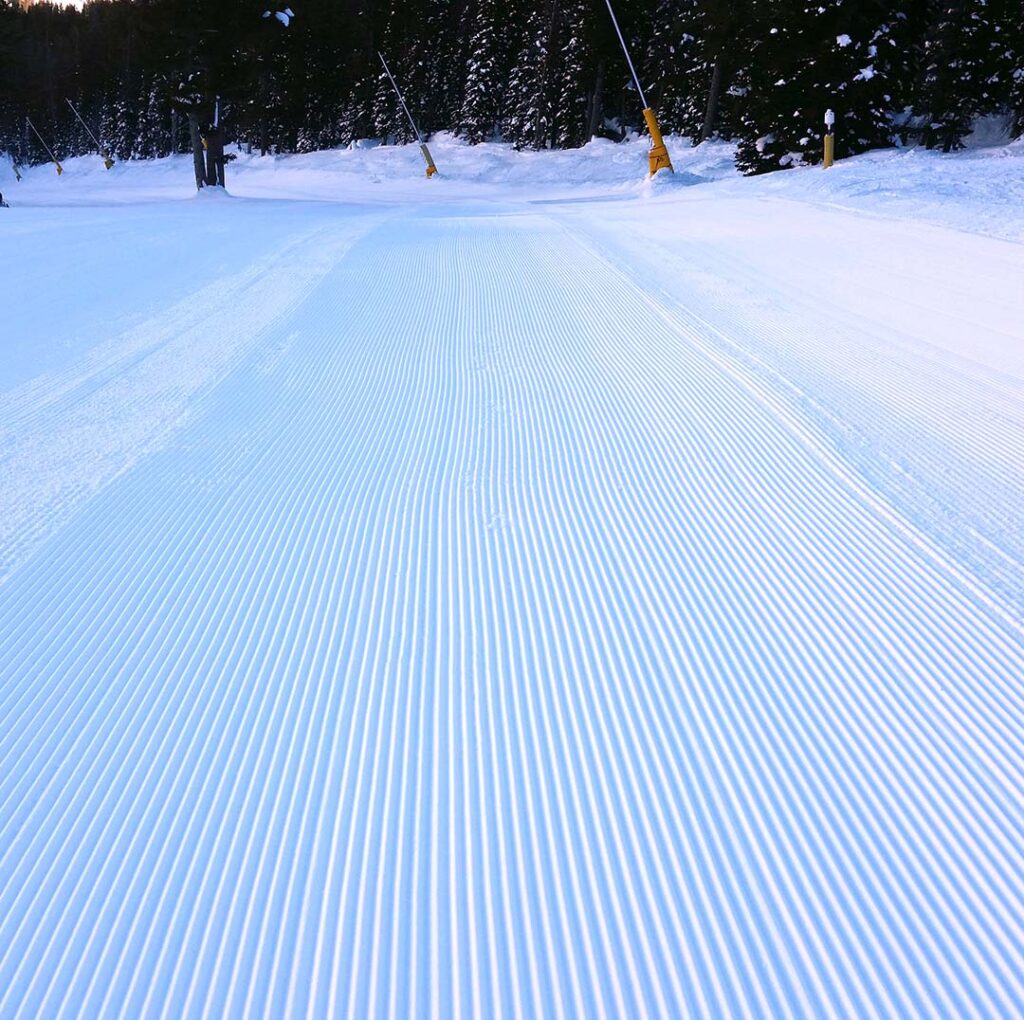 Corduroy!