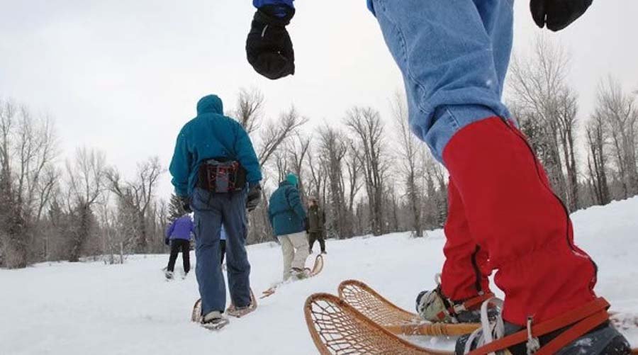 Go Snowshoeing!