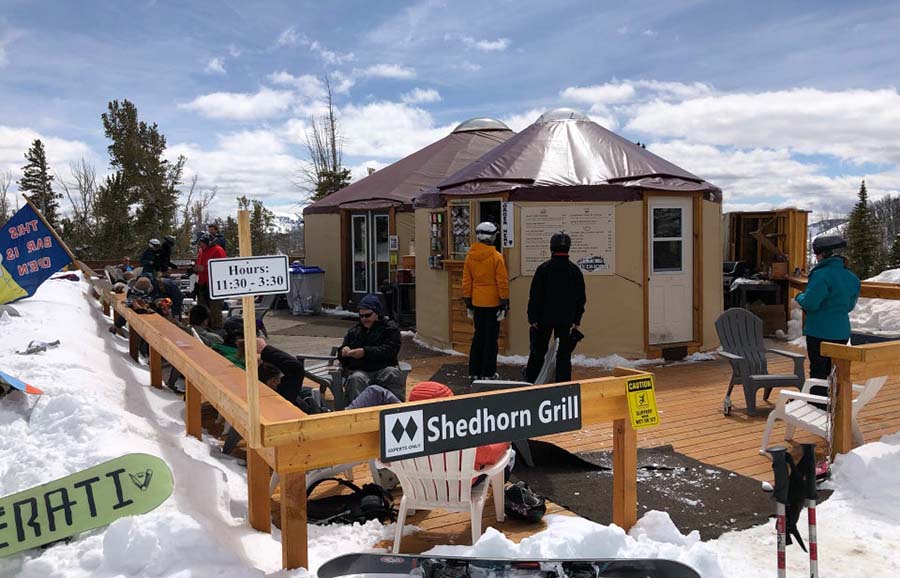 Shedhorn Grill