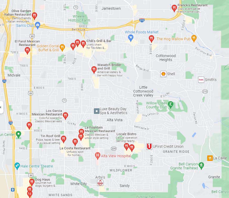 Google Link to Restaurants in the Alta Area