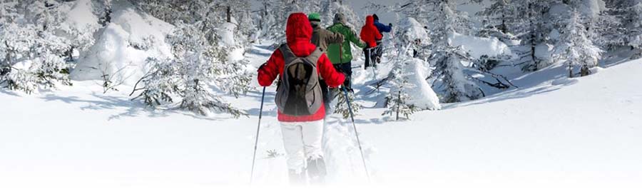 Snowshoeing on Summer Road at Alta