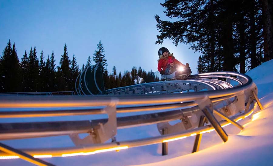 Ride an Alpine Coaster!