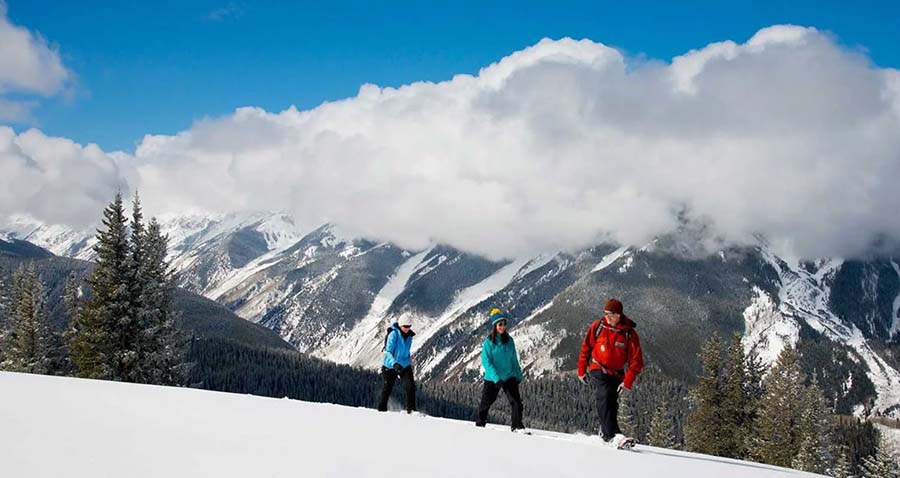 Take a Naturalist Snowshoe Tour!