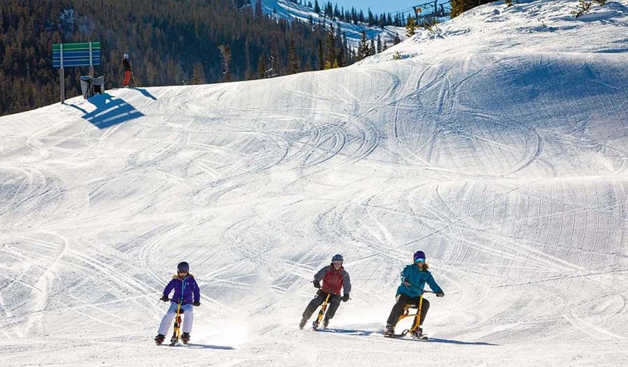 Try Snowbiking!